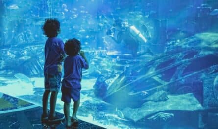 aquarium dubaï