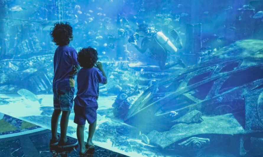 Aquarium Dubaï : Découvrez le plus grand aquarium de la région