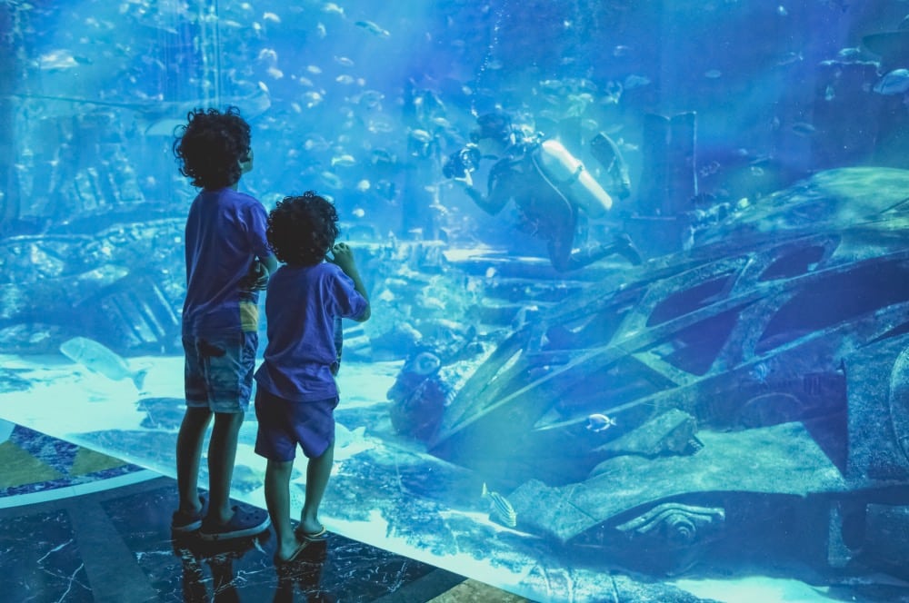 aquarium dubaï