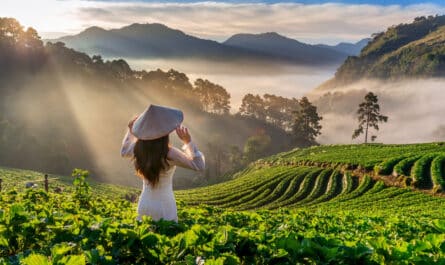 visa pour la Thaïlande en ligne