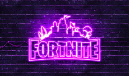 sac Fortnite