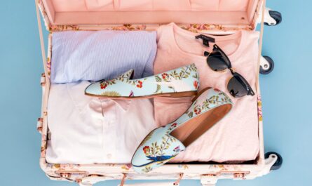 valise pour voyage