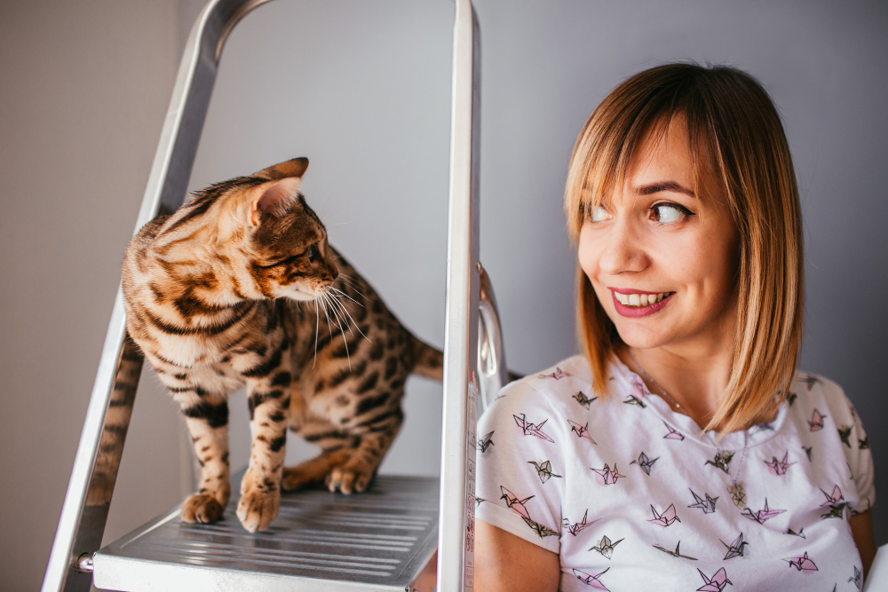 Chat Bengal avec une femme