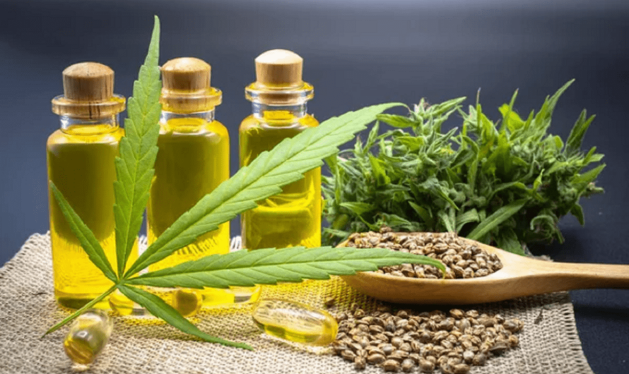 CBD biologique : ce qu’il faut savoir