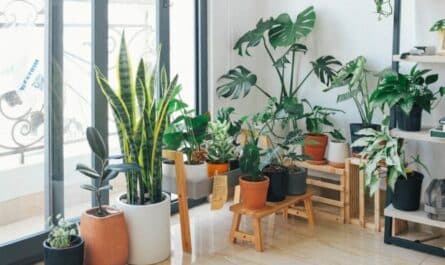 jardiniere intérieure