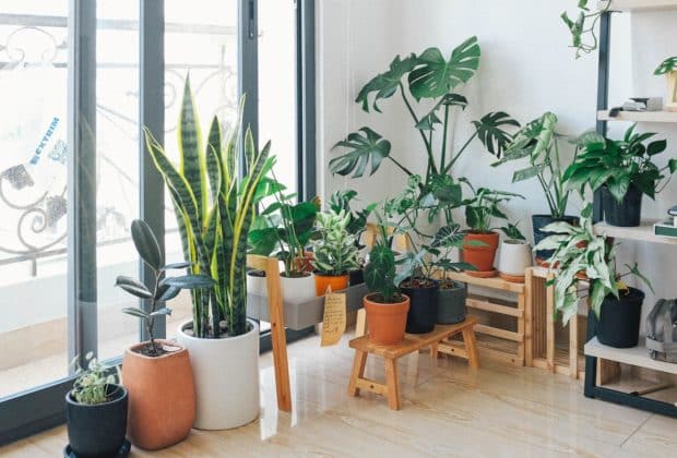 Idée aménagement intérieur de jardin